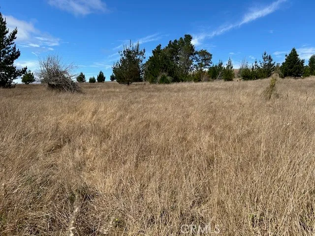 a view of a dry yard with wooden fence