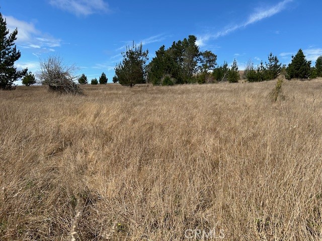 330 Valley Ford Freestone Road Sebastopol, CA 95472 - Photo 22 of 42 a view of outdoor space and trees