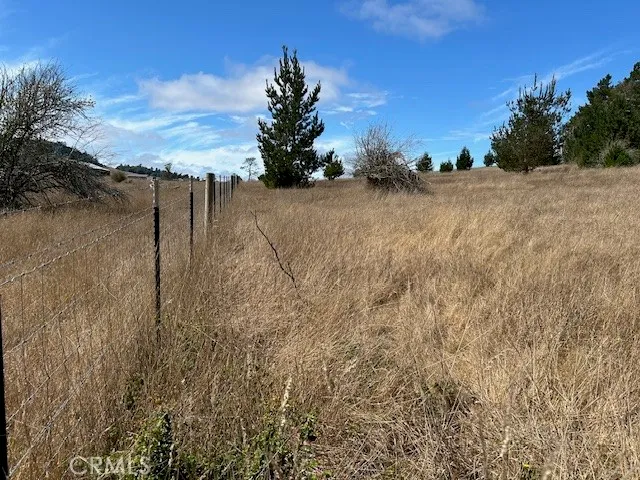 a view of an outdoor space and a yard