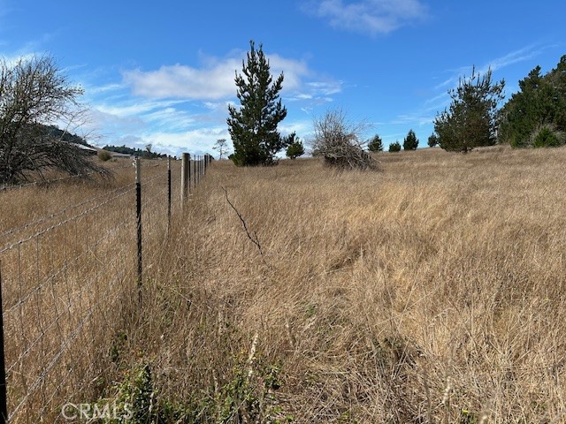 330 Valley Ford Freestone Road Sebastopol, CA 95472 - Photo 23 of 42 a view of a yard with trees in the background