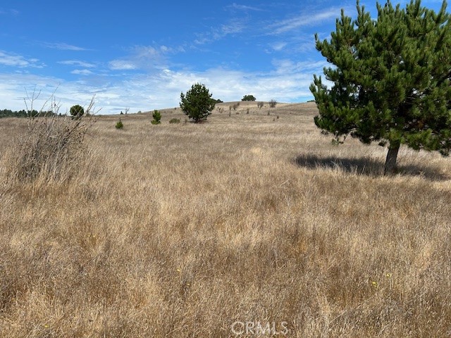 330 Valley Ford Freestone Road Sebastopol, CA 95472 - Photo 24 of 42 a view of a dry yard with wooden fence