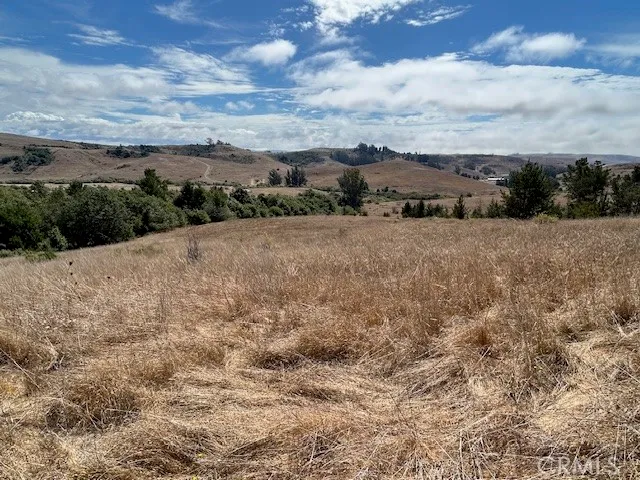 an aerial view of ocean and fields with trees
