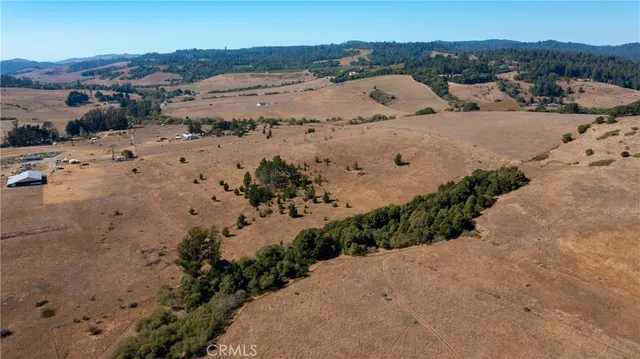 a view of a dry field with lots of trees in the background