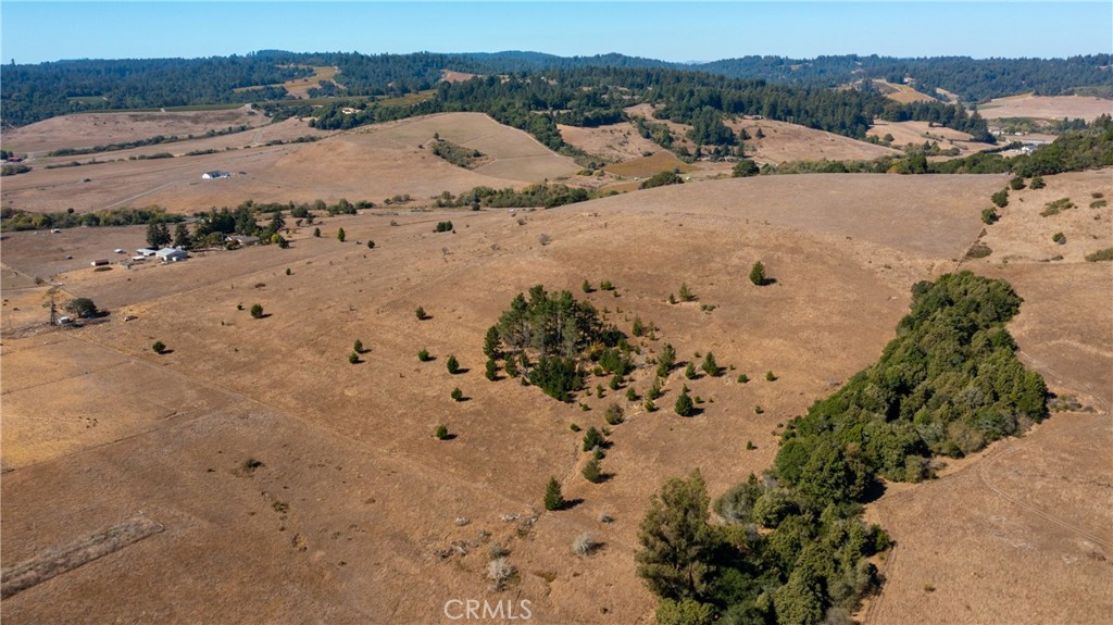 330 Valley Ford Freestone Road Sebastopol, CA 95472 - Photo 34 of 42 a view of a dry field with lots of trees in the background