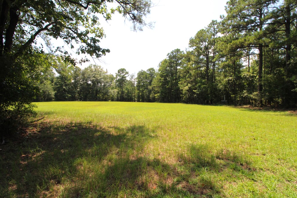 374 Manta Road Cusseta, GA 31805 - Photo 4 of 49 Large Pasture/Food Plot