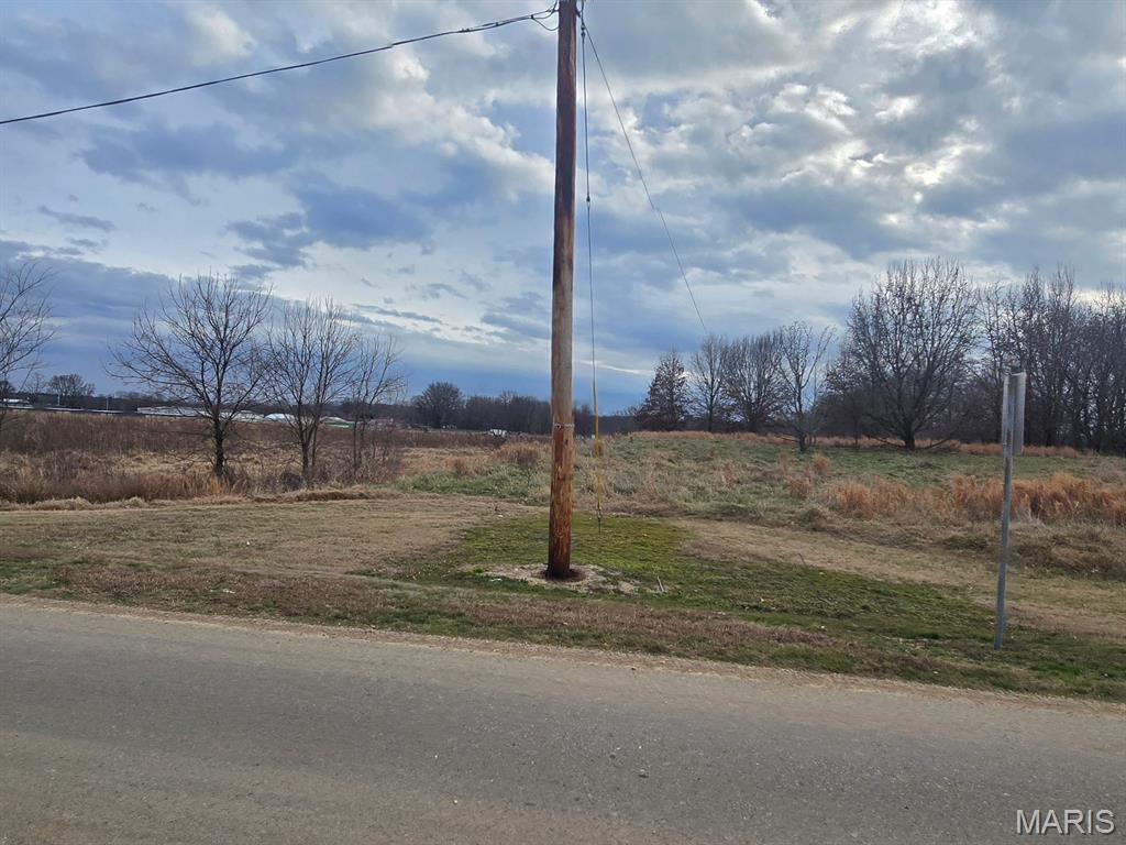 0 Two South 2 Mile Road Dexter, MO 63841 - Photo 2 of 6