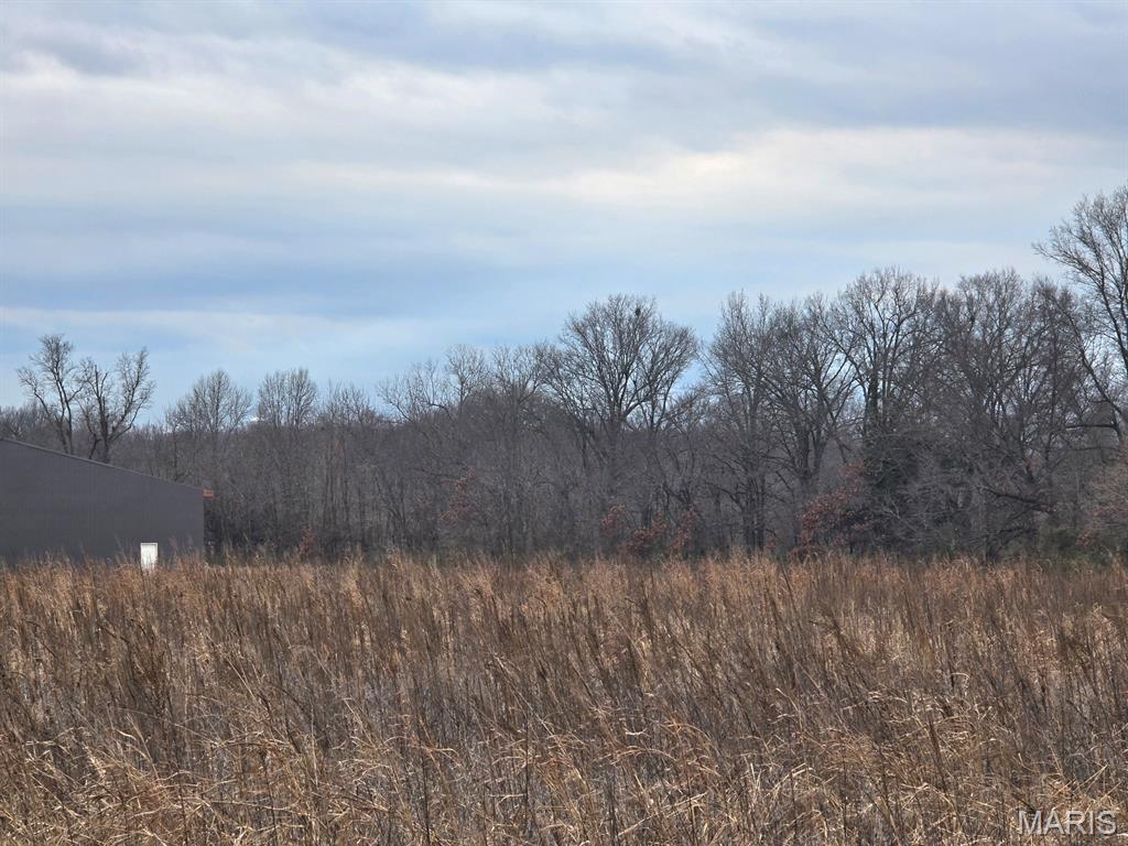 0 Two South 2 Mile Road Dexter, MO 63841 - Photo 3 of 6