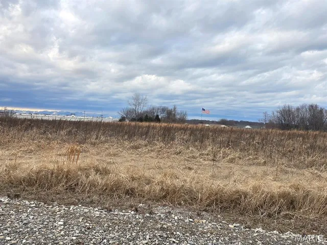 $495,000 | 0 Two South 2 Mile Road, Dexter, MO 63841