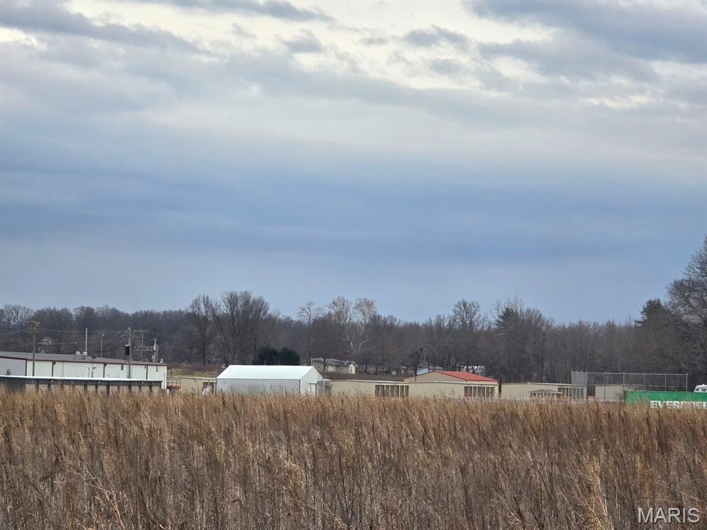 0 Two South 2 Mile Road Dexter, MO 63841 - Photo 5 of 6