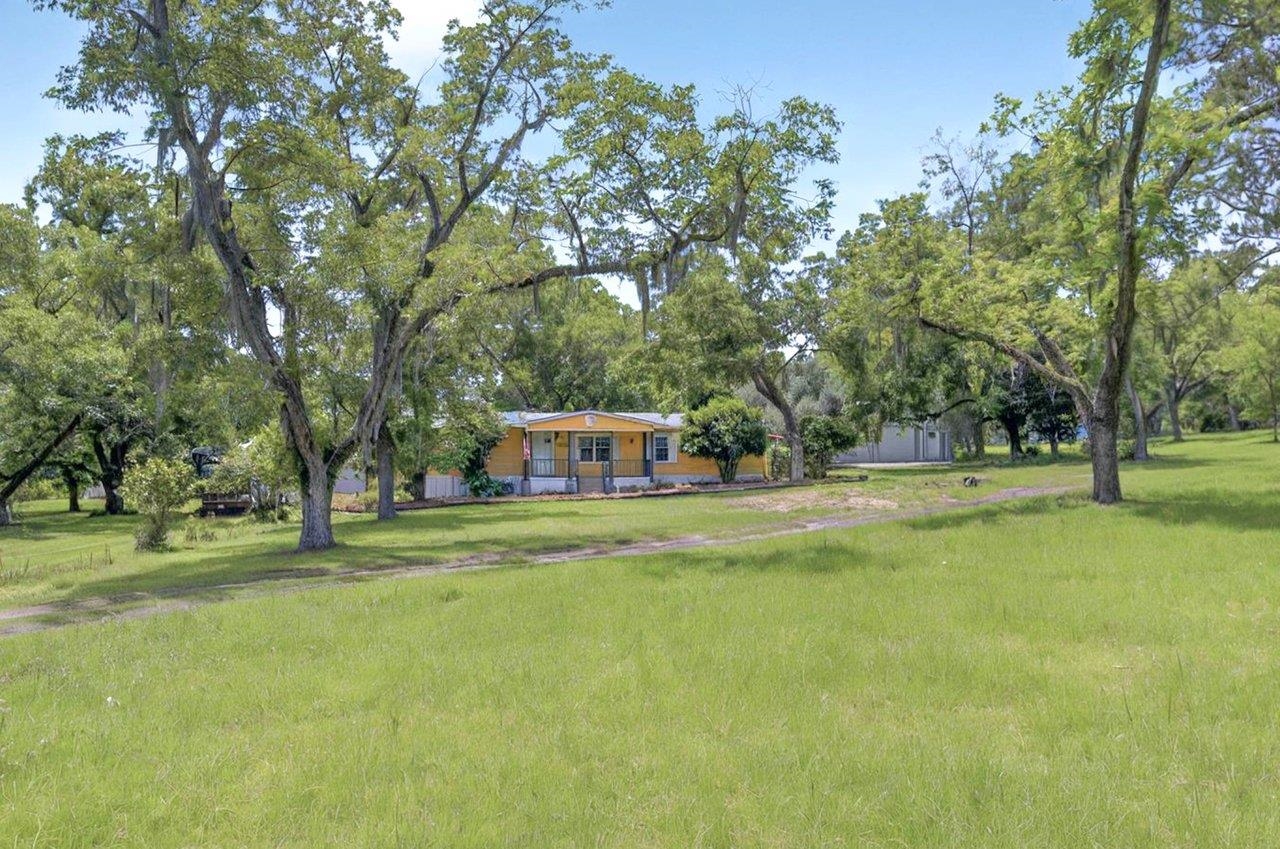 952 Turney Anderson Road Monticello, FL 32344 - Photo 11 of 42