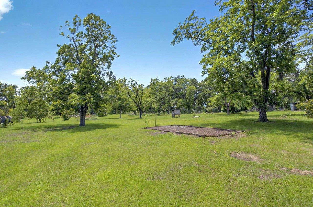 952 Turney Anderson Road Monticello, FL 32344 - Photo 9 of 42