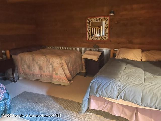 0 East Divide Creek Road New Castle, CO 81647 - Photo 26 of 45 IMG_3017