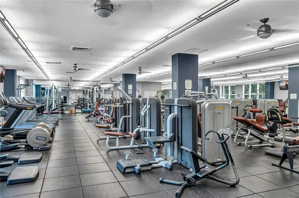 a view of a park with palm trees
