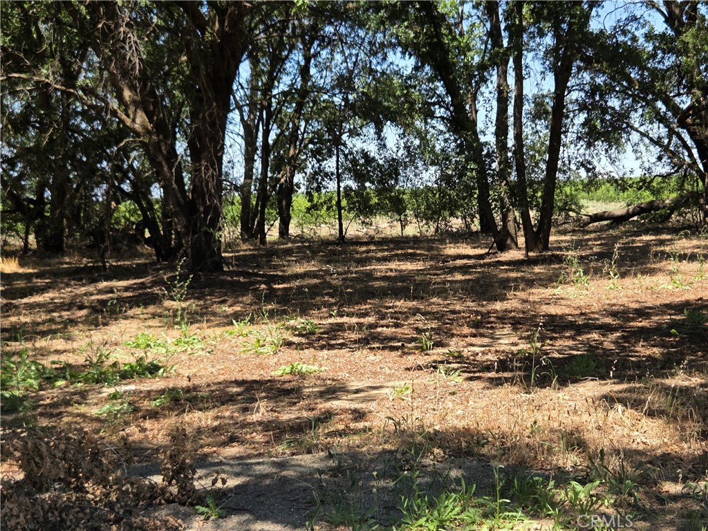 0 North B Street Tehama, CA 96021 - Photo 3 of 8