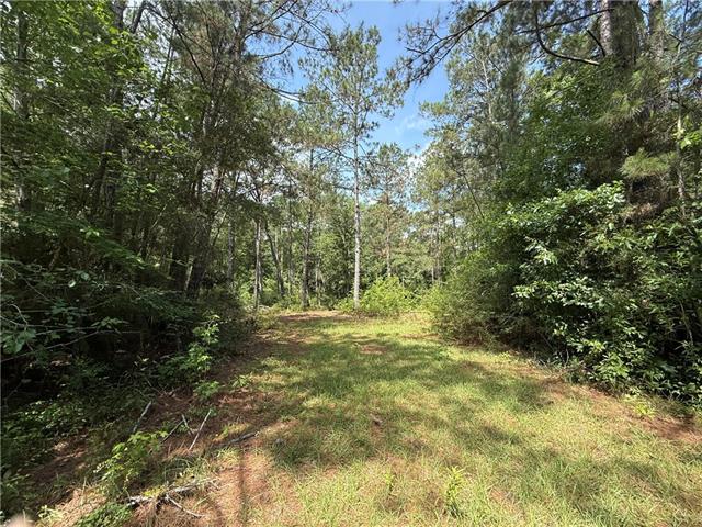 Lot 3-7 Robin Road Franklinton, LA 70438 - Photo 7 of 7