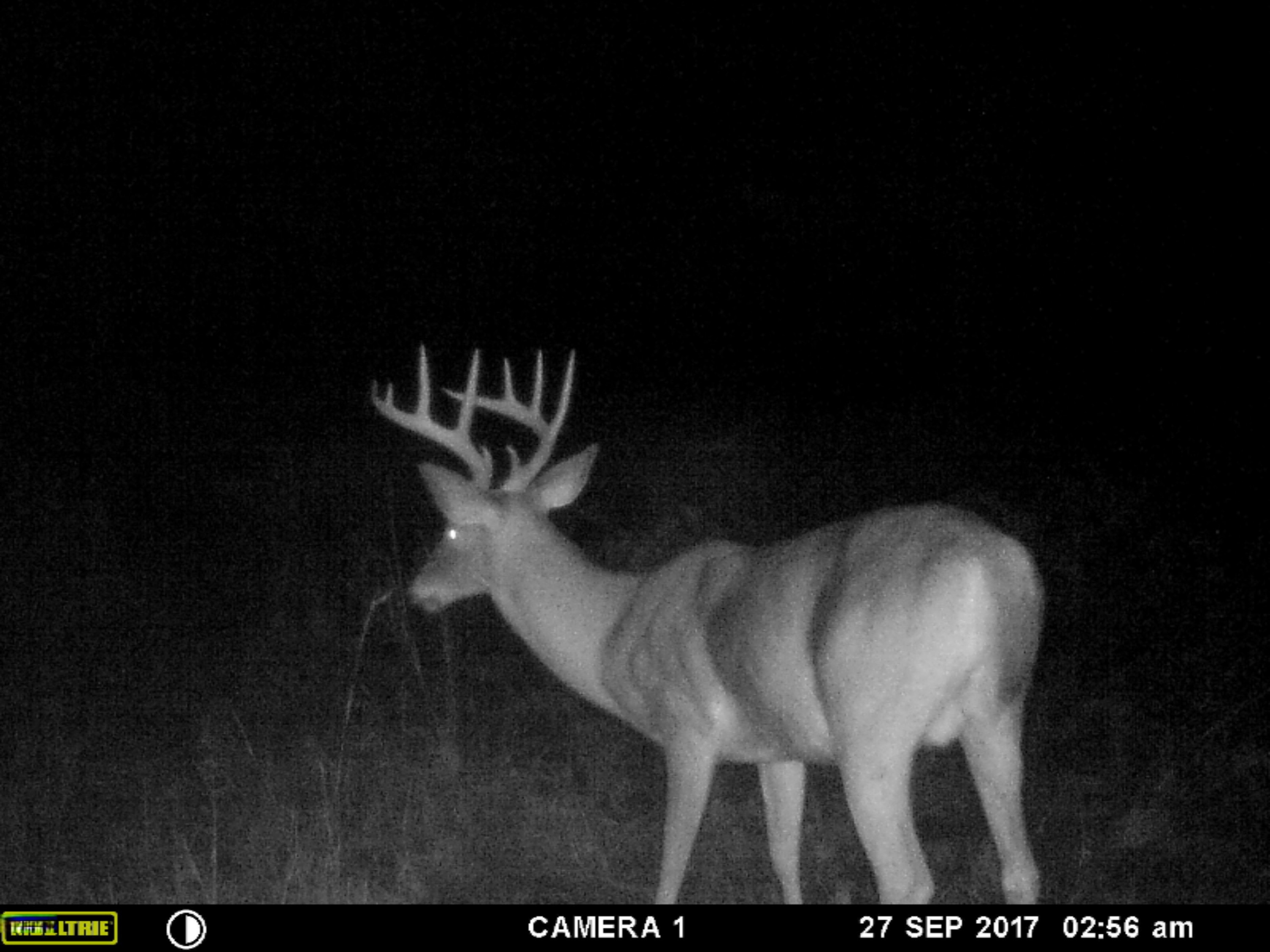 3253 East Cable Road Custer, MI 49405 - Photo 13 of 23 IMG_0158
