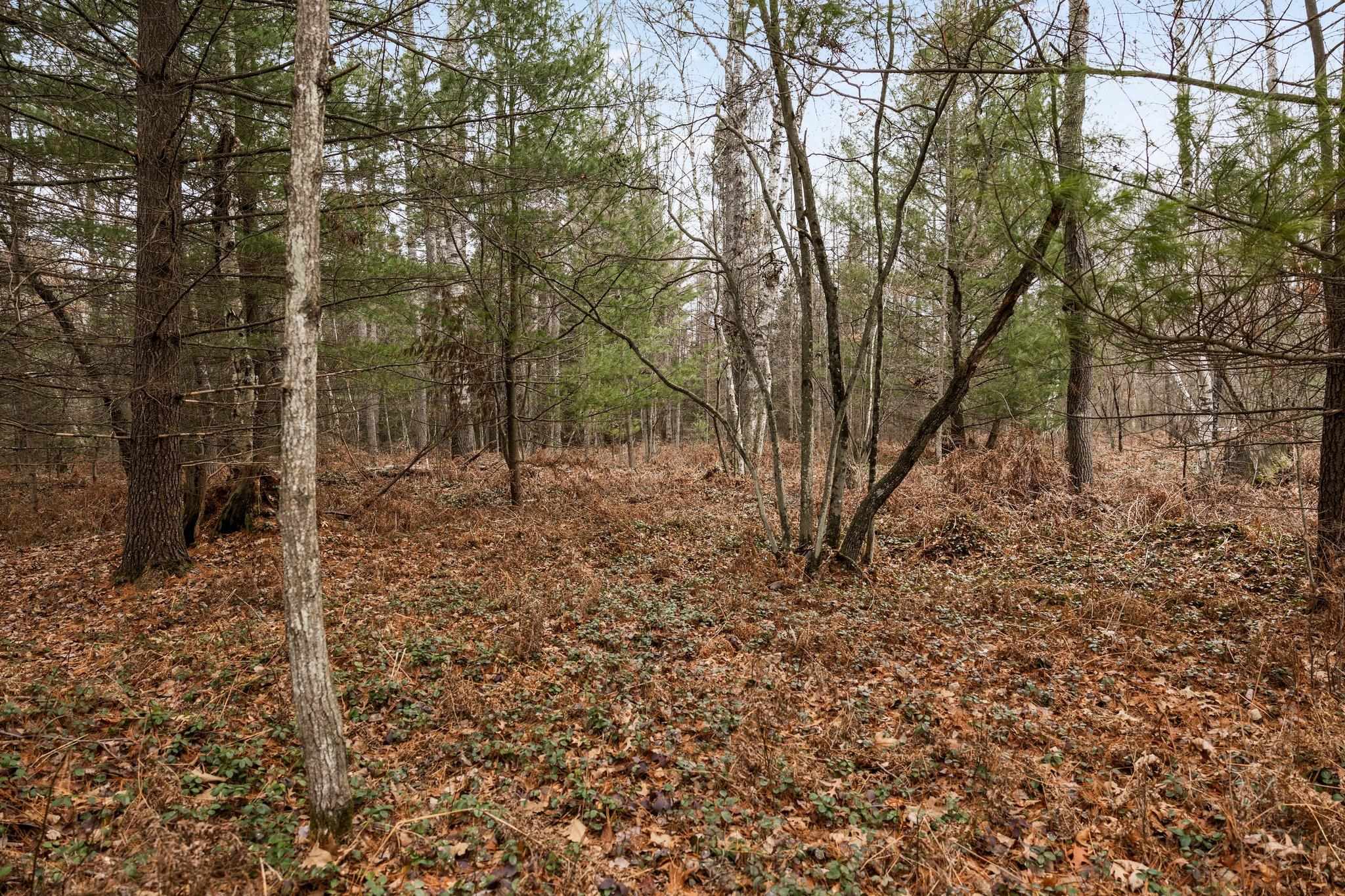 4615 East Sugar River Road Alger, MI 48610 - Photo 28 of 69