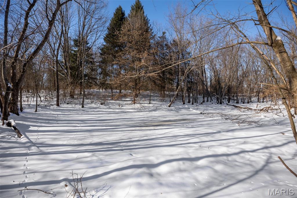 104 Mine Road Sawyerville, IL 62088 - Photo 26 of 28