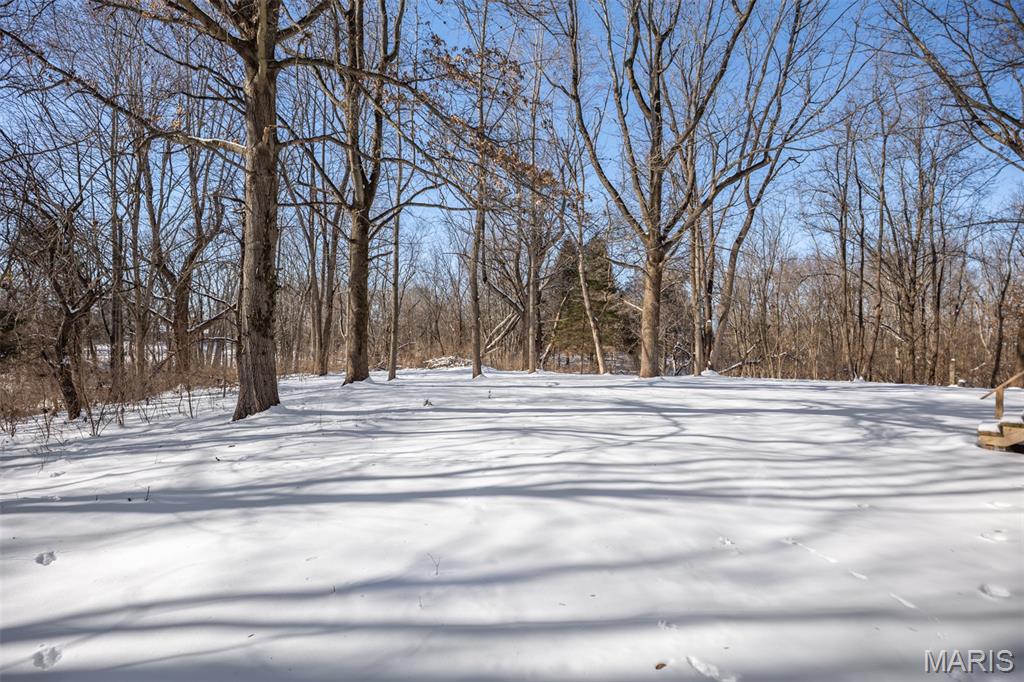 104 Mine Road Sawyerville, IL 62088 - Photo 27 of 28