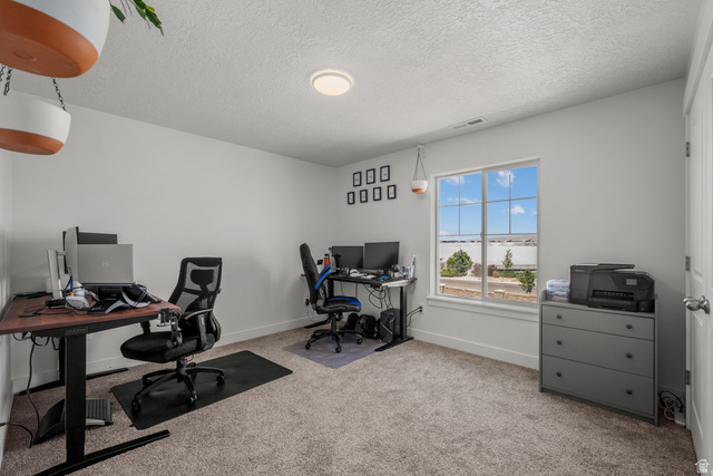 1693 North Center Point Lane Salem, UT 84653 - Photo 15 of 26 Room featuring light gray carpet, white walls, and a large window with white trim