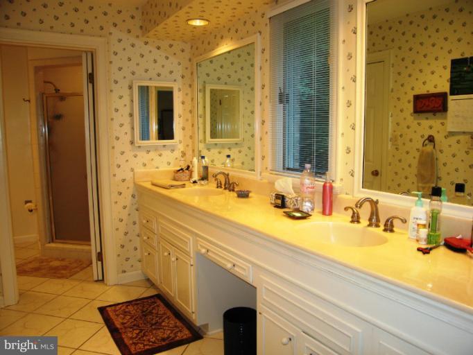 11205 Tara Road Potomac, MD 20854 - Photo 22 of 29 Bath (Master) View #2