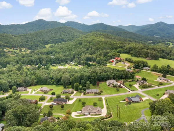 a view of a lush green hillside and houses