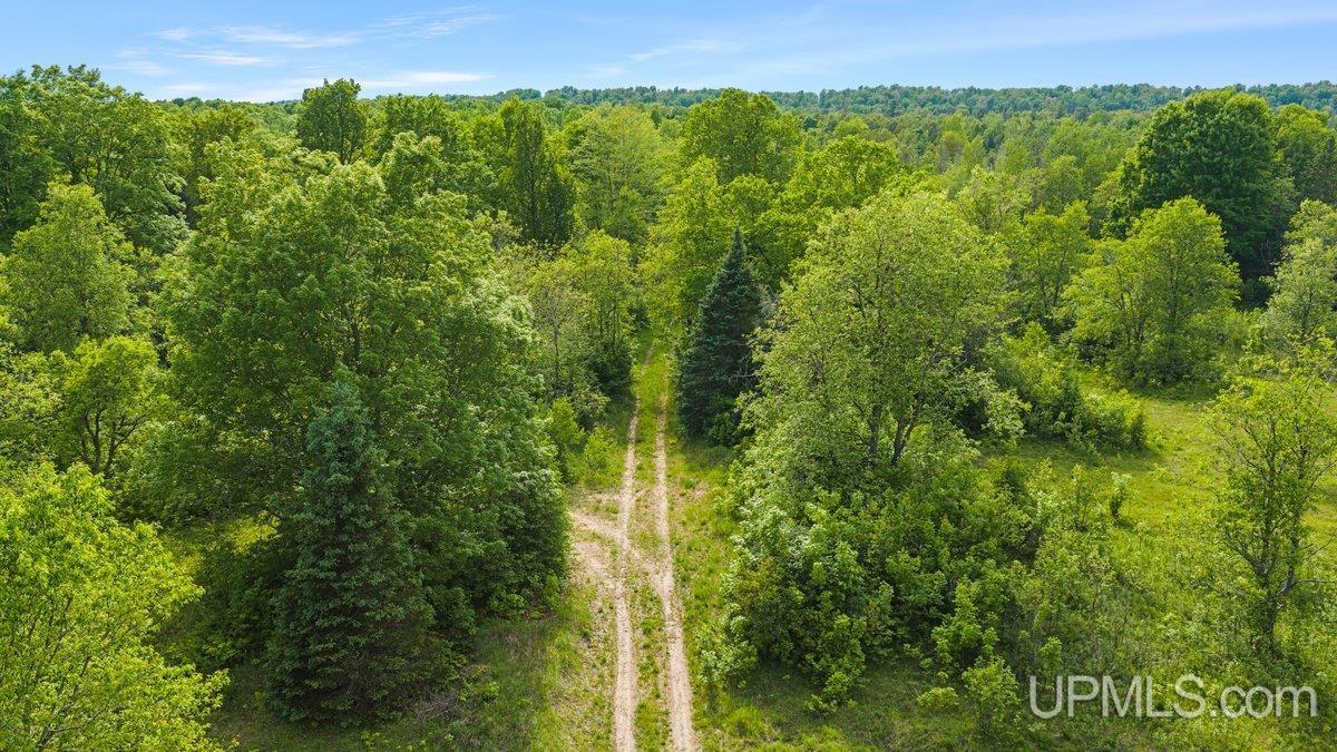 8789 38 Road Rapid River, MI 49878 - Photo 23 of 23