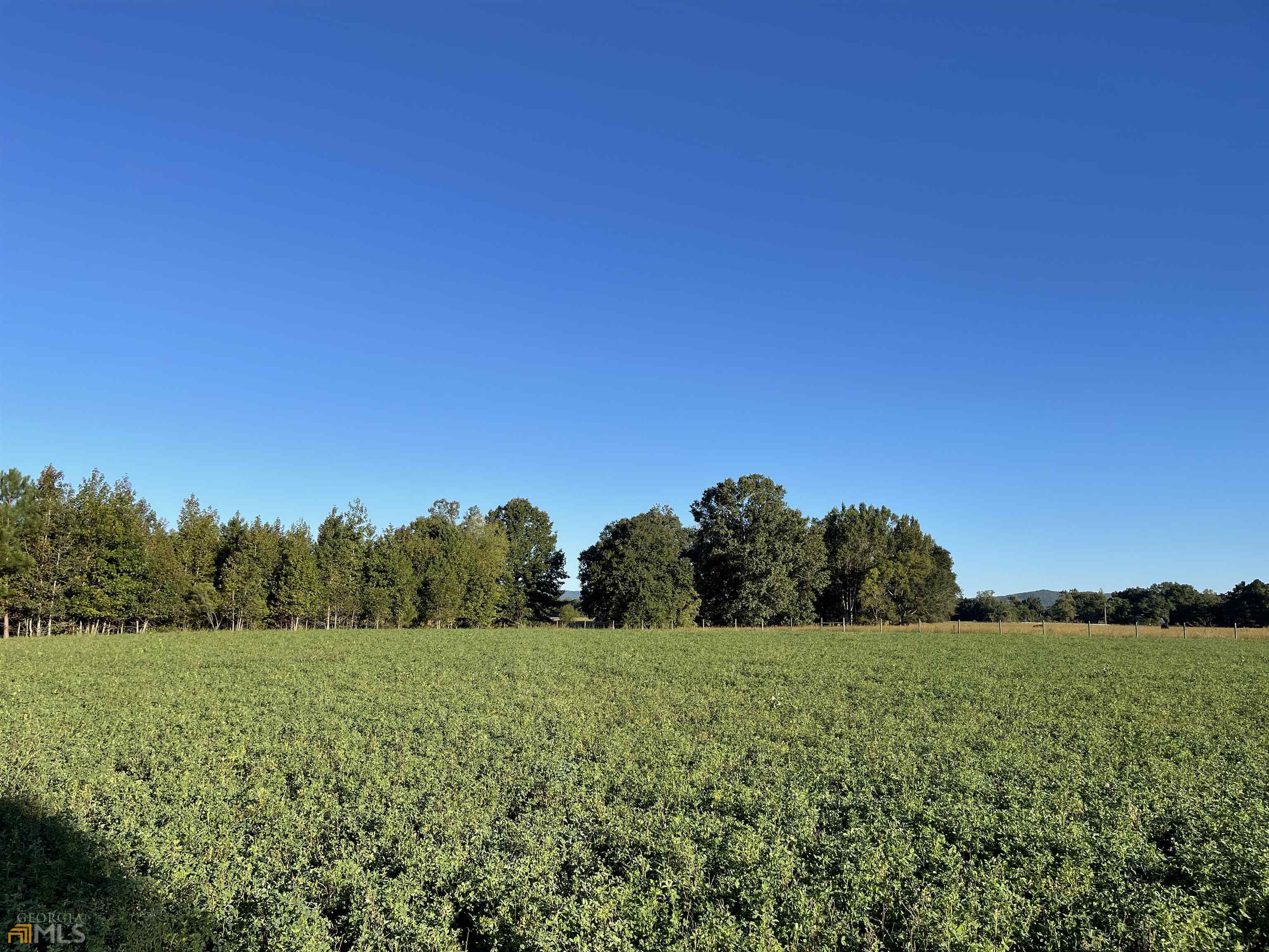 a view of a green field