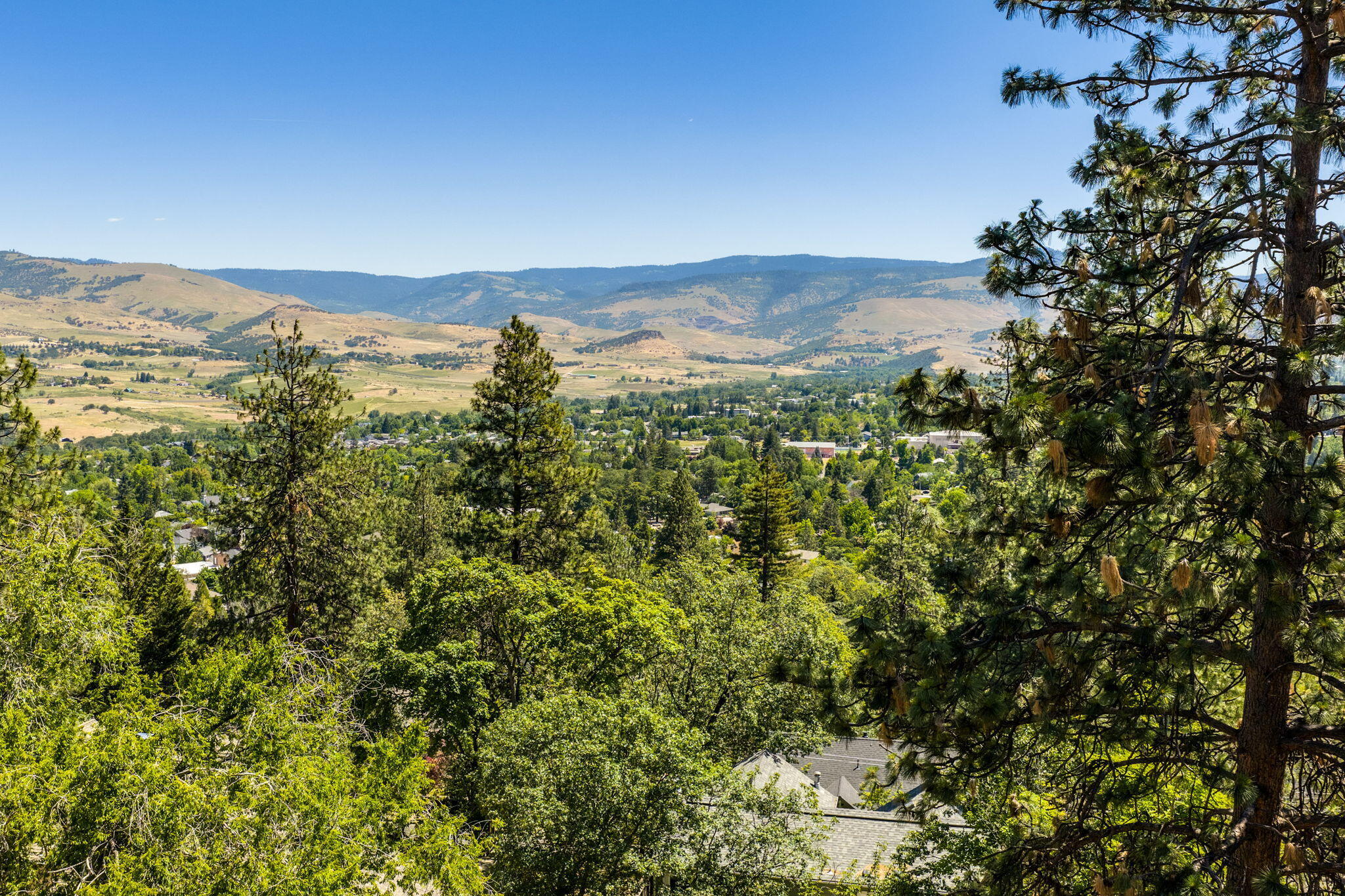 155 Terrace Street Ashland, OR 97520 - Photo 86 of 93