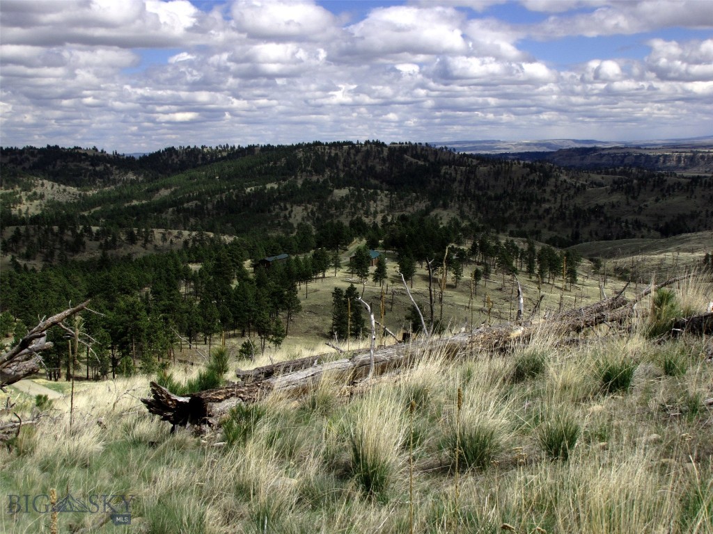 Tbd Tbd Wild Turkey Ridge Road Columbus, MT 59019 - Photo 47 of 55 Gallery Image 47