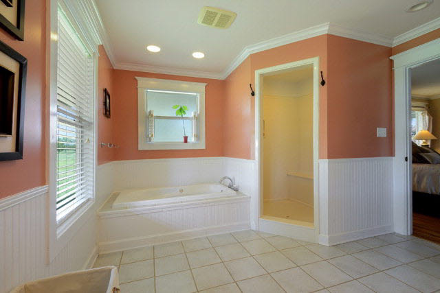 31671 Hagendorfer Road Lillian, AL 36549 - Photo 12 of 26 Master bath