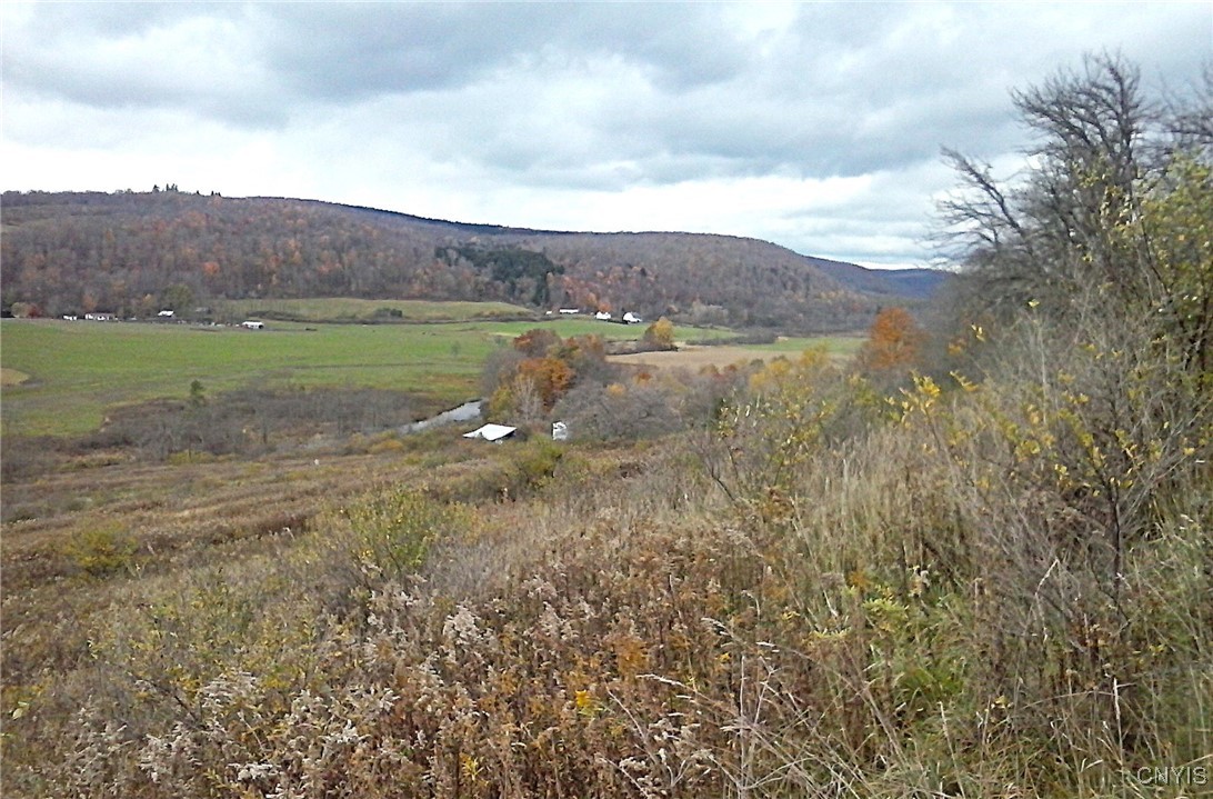 0 Oak Hill Road Pitcher, NY 13136 - Photo 11 of 18 Late Fall Views overlooking the property and beyon