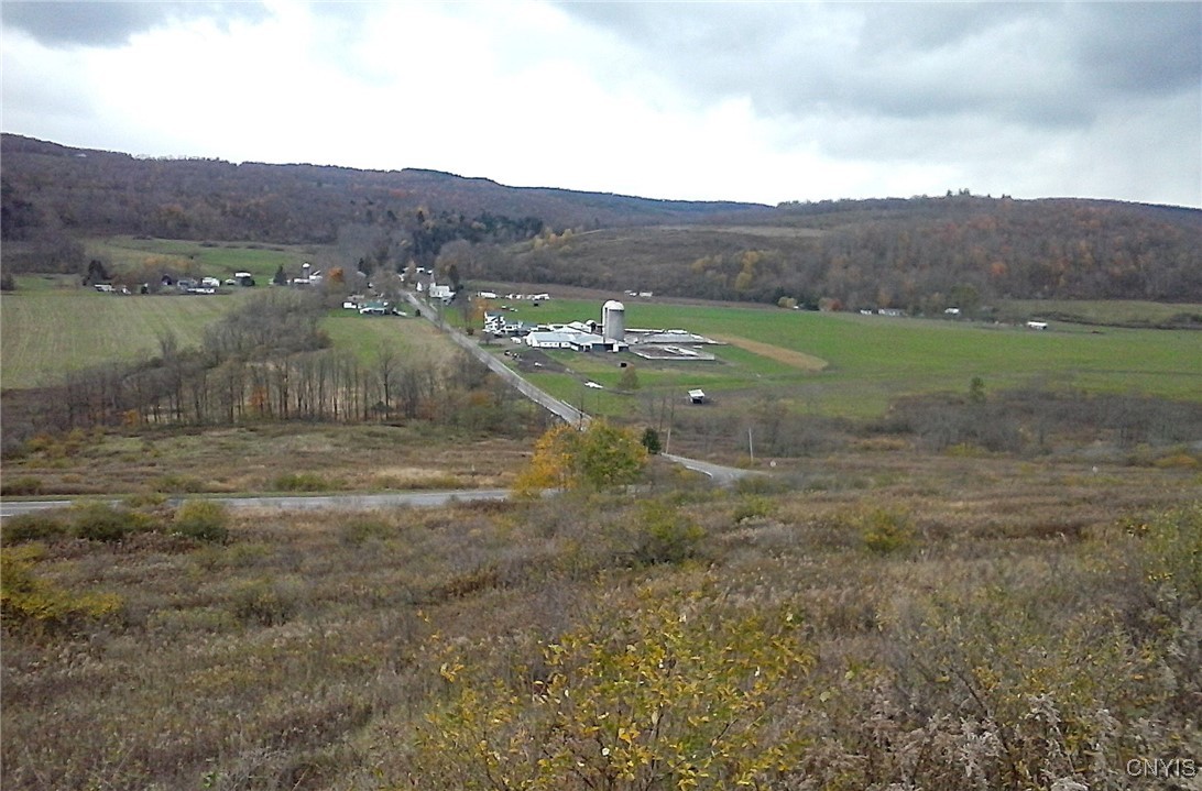 0 Oak Hill Road Pitcher, NY 13136 - Photo 12 of 18 Late Fall Views overlooking the property and beyon