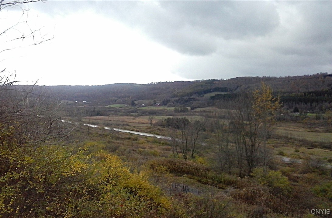 0 Oak Hill Road Pitcher, NY 13136 - Photo 13 of 18 Late Fall Views overlooking the property and beyon