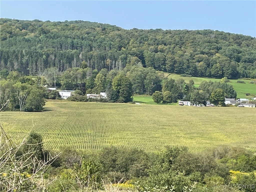 0 Oak Hill Road Pitcher, NY 13136 - Photo 14 of 18 Summer Views from the property