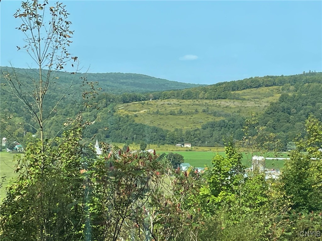 0 Oak Hill Road Pitcher, NY 13136 - Photo 15 of 18 Summer Views from the property