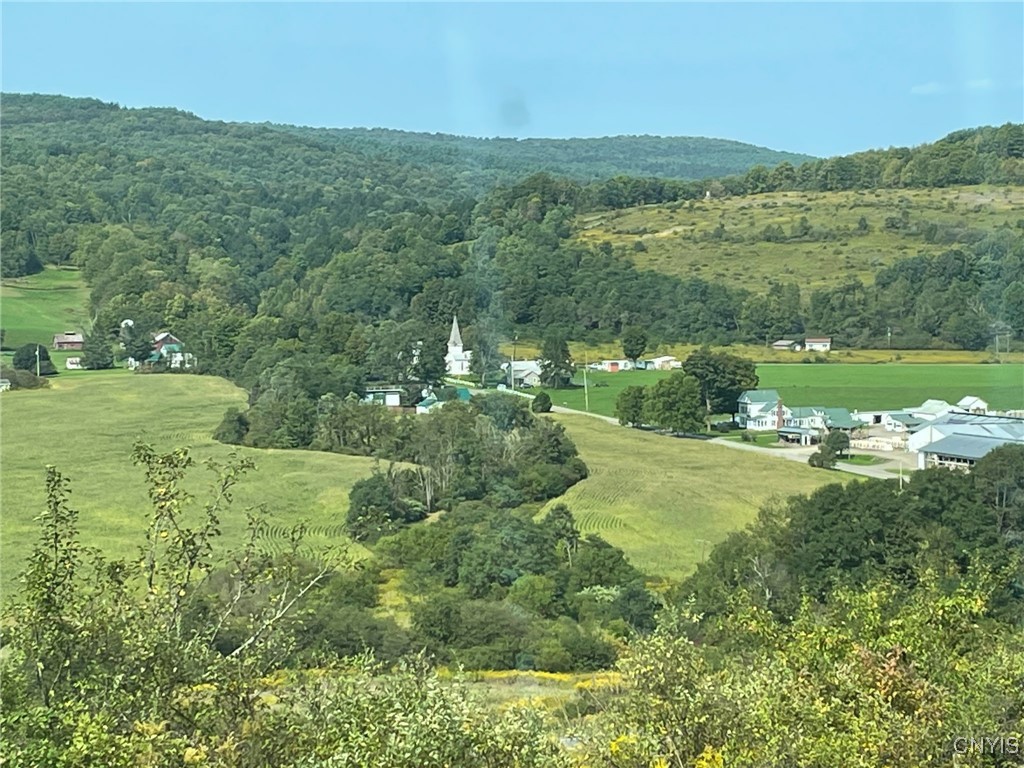 0 Oak Hill Road Pitcher, NY 13136 - Photo 16 of 18 Summer Views from the property