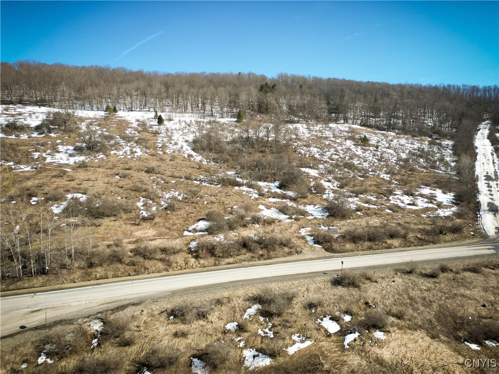 0 Oak Hill Road Pitcher, NY 13136 - Photo 17 of 18