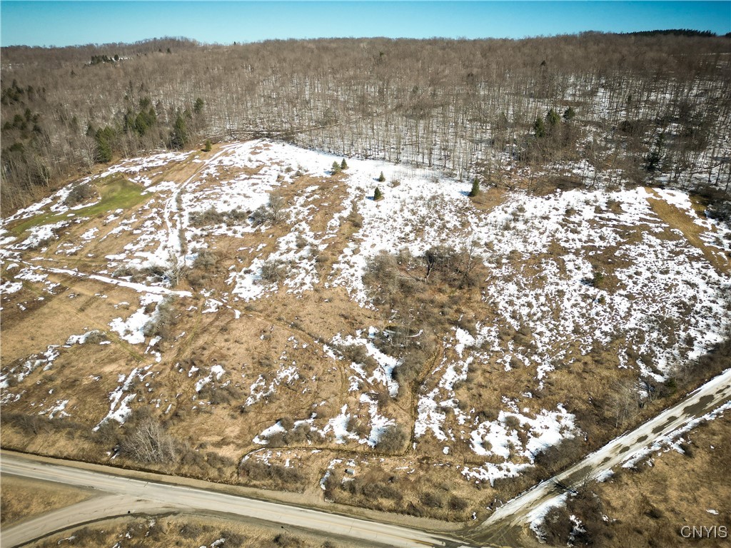 0 Oak Hill Road Pitcher, NY 13136 - Photo 18 of 18