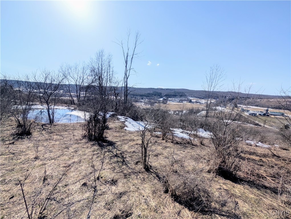 0 Oak Hill Road Pitcher, NY 13136 - Photo 3 of 18