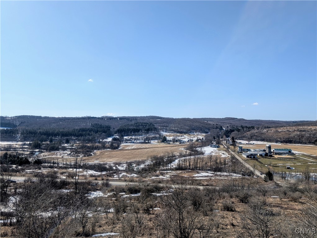 0 Oak Hill Road Pitcher, NY 13136 - Photo 4 of 18 View of lower half of property and beyond
