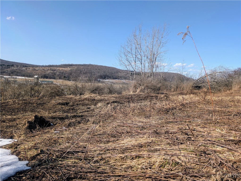 0 Oak Hill Road Pitcher, NY 13136 - Photo 5 of 18