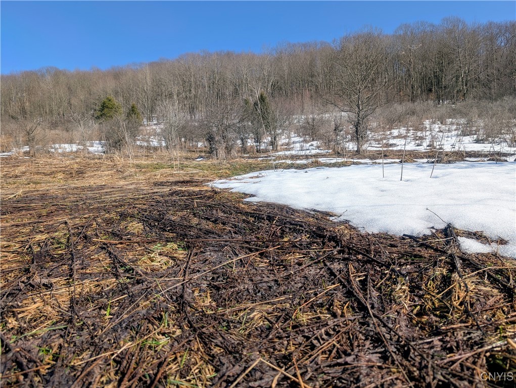 0 Oak Hill Road Pitcher, NY 13136 - Photo 6 of 18