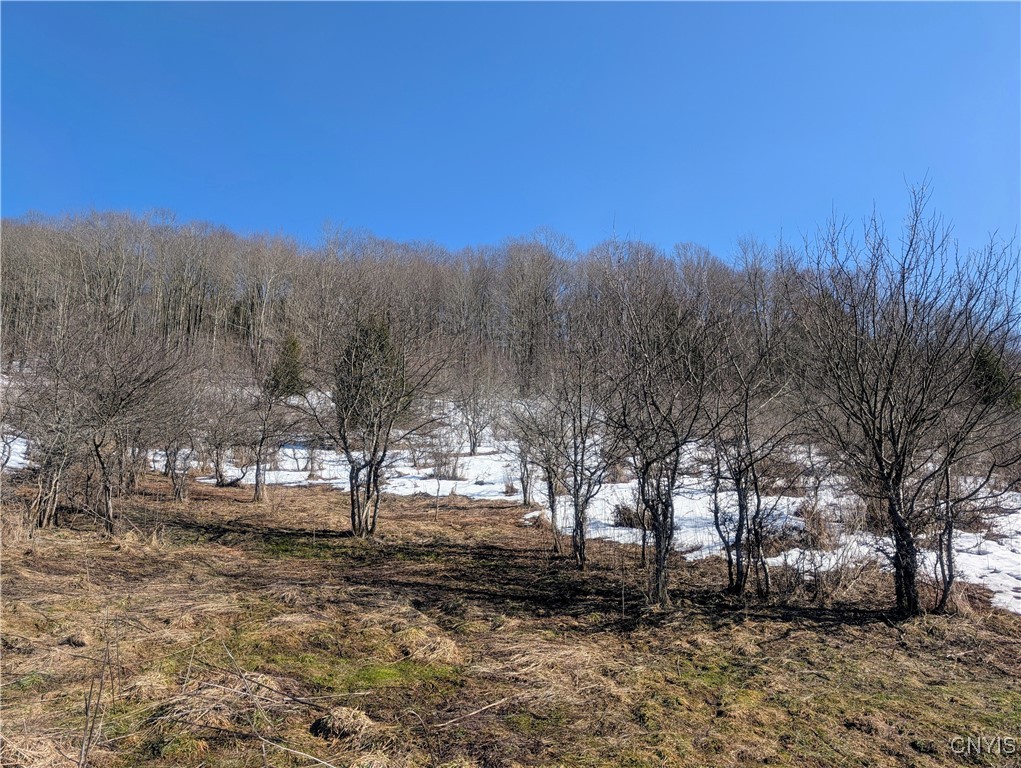 0 Oak Hill Road Pitcher, NY 13136 - Photo 7 of 18