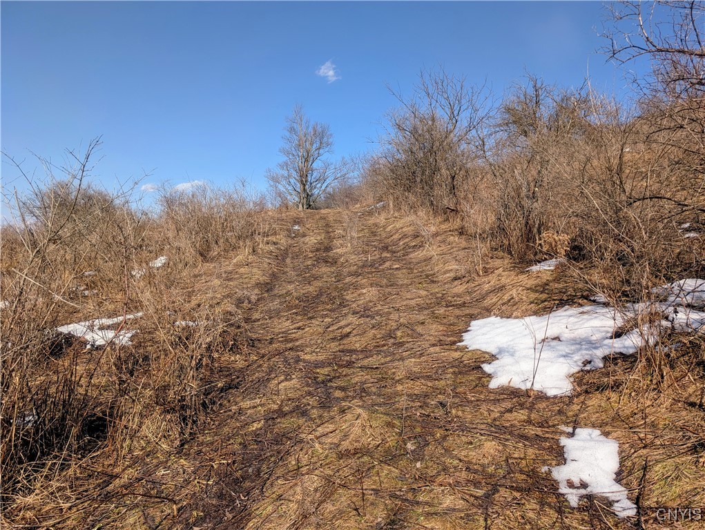 0 Oak Hill Road Pitcher, NY 13136 - Photo 8 of 18