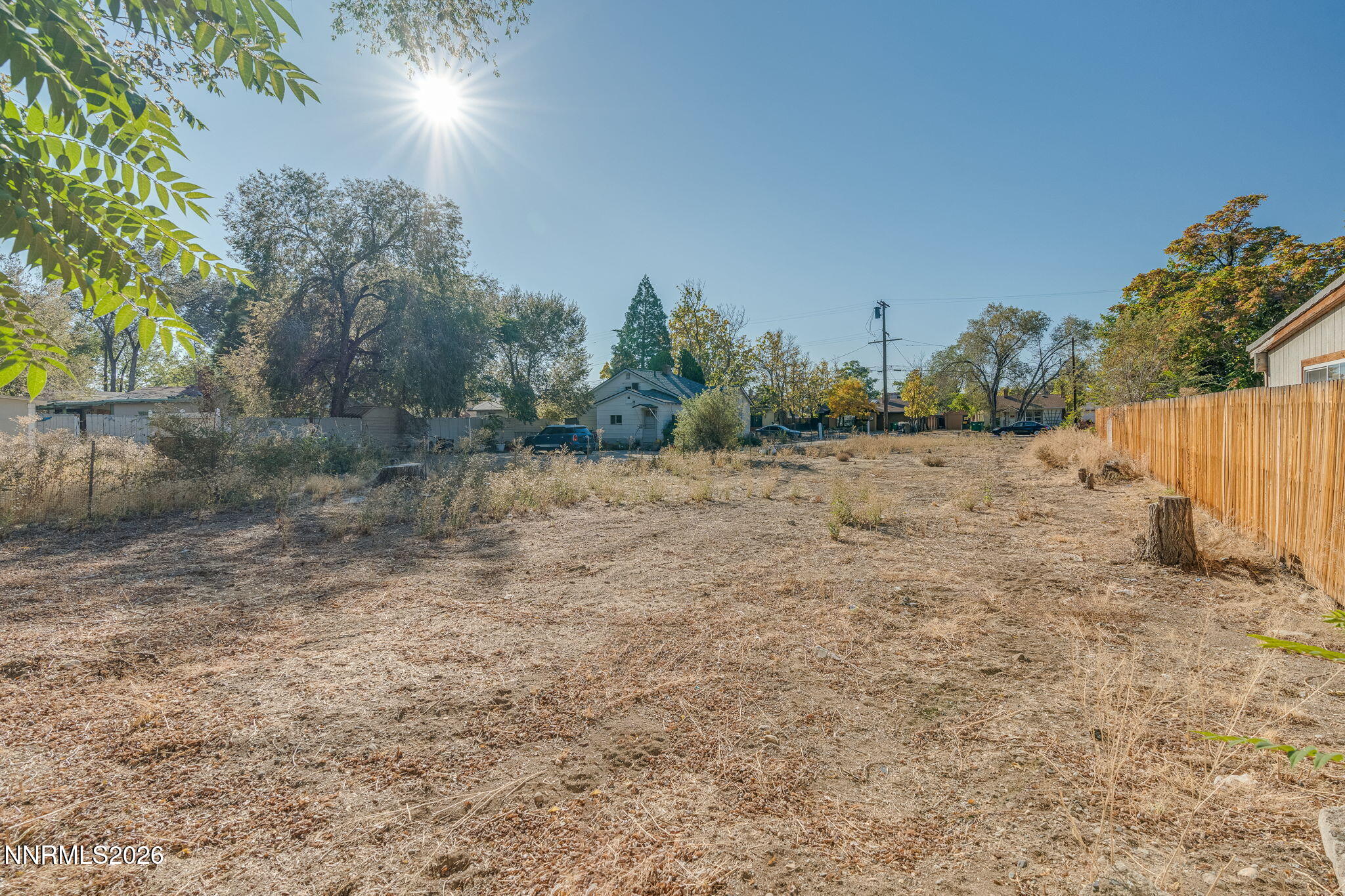 537 Colorado River Boulevard Reno, NV 89502 - Photo 6 of 10 a view of plants and trees in the background