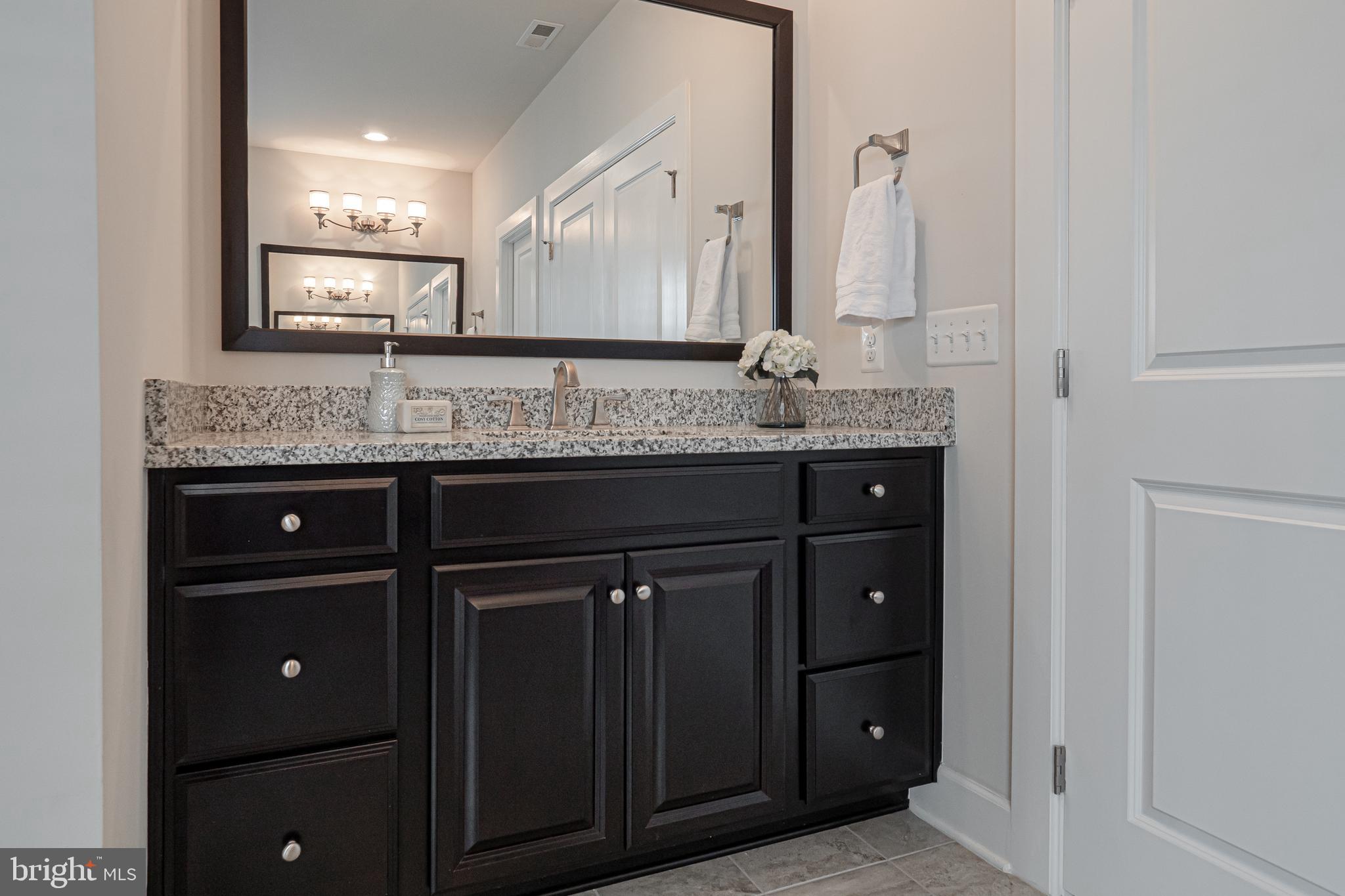 731 Stonecliffe Road Malvern, PA 19355 - Photo 50 of 81 a bathroom with a granite countertop sink and a mirror