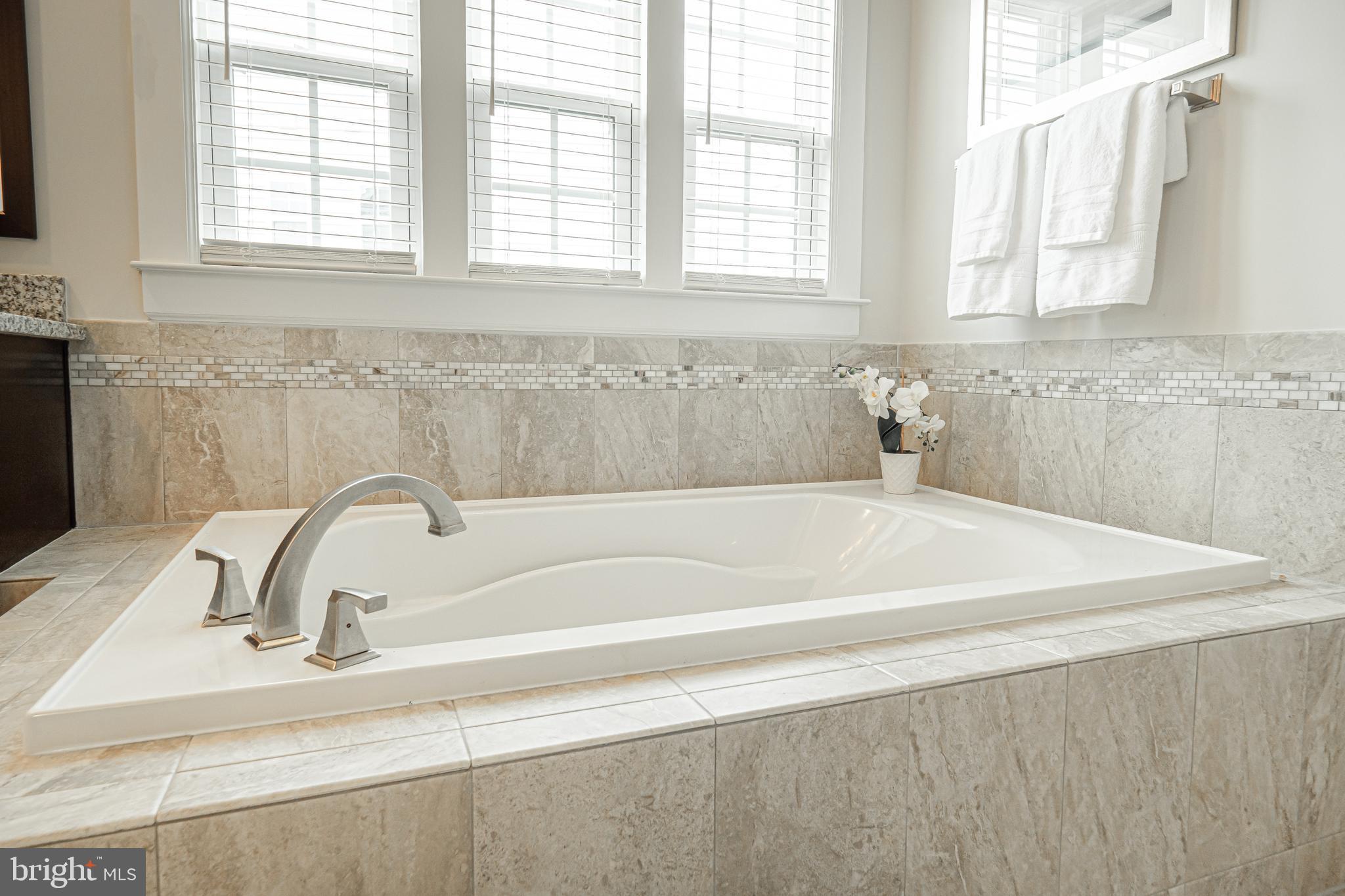 731 Stonecliffe Road Malvern, PA 19355 - Photo 53 of 81 a close view of a sink and a bathtub in a bathroom