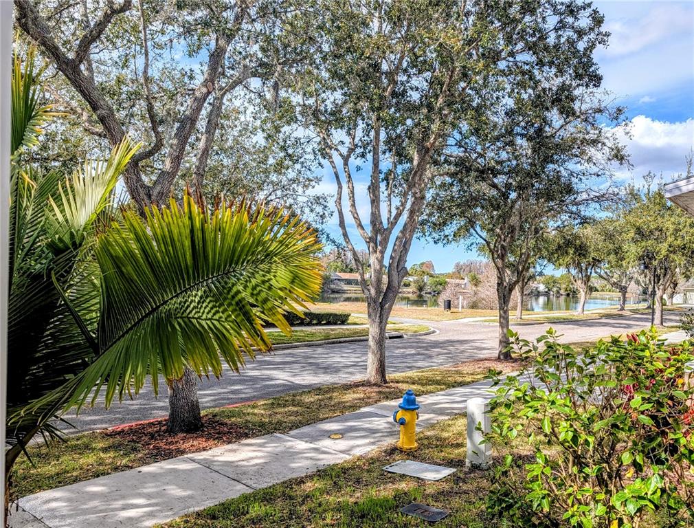 3618 Buffett Street New Port Richey, FL 34655 - Photo 5 of 62 Gallery Image 5