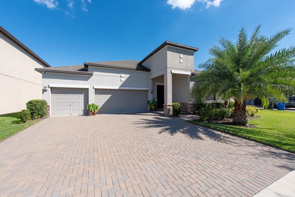 13448 White Sapphire Road Riverview, FL 33579 - Photo 1 of 1 Gallery Image 1